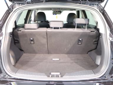 Berry New Tivoli