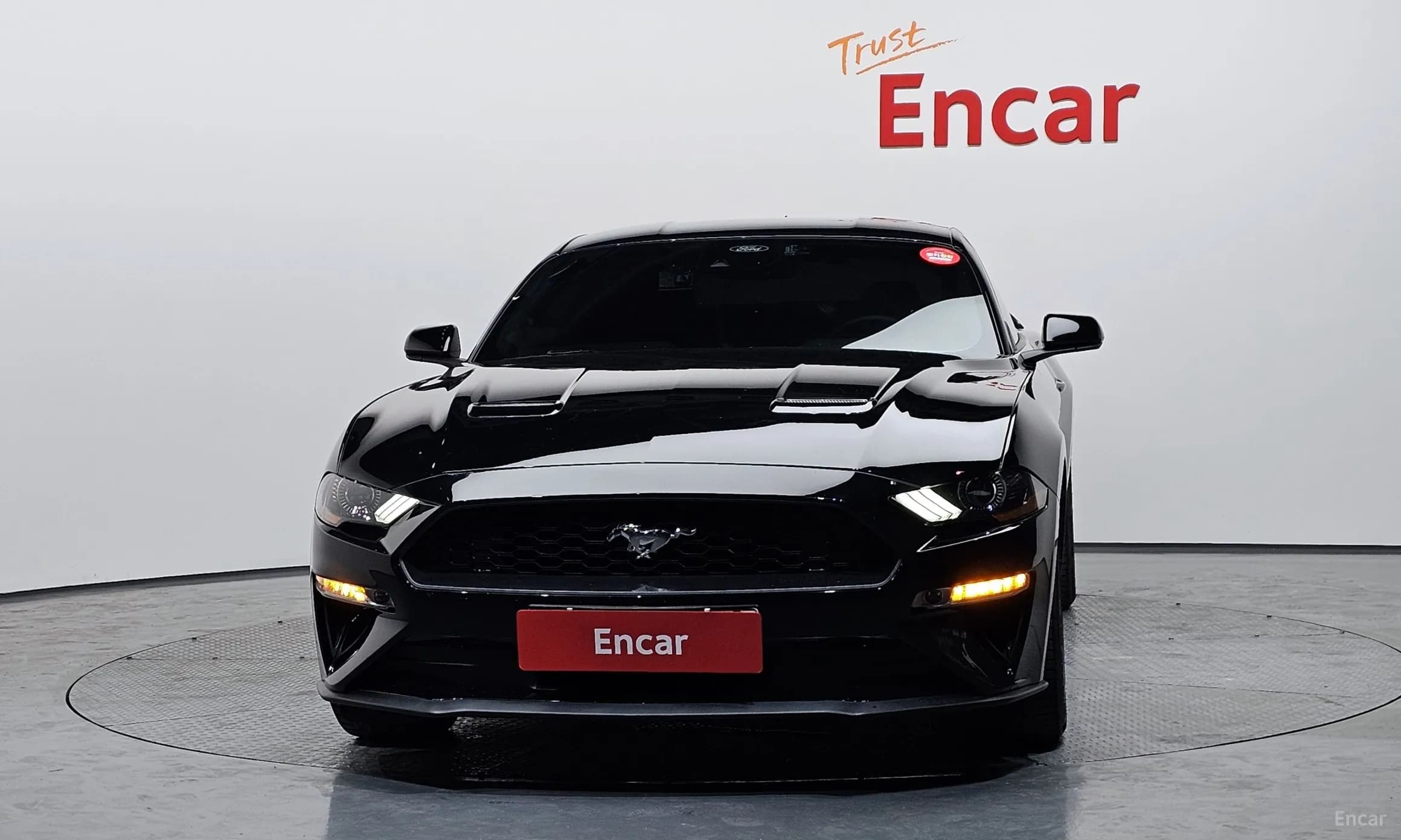 Mustang