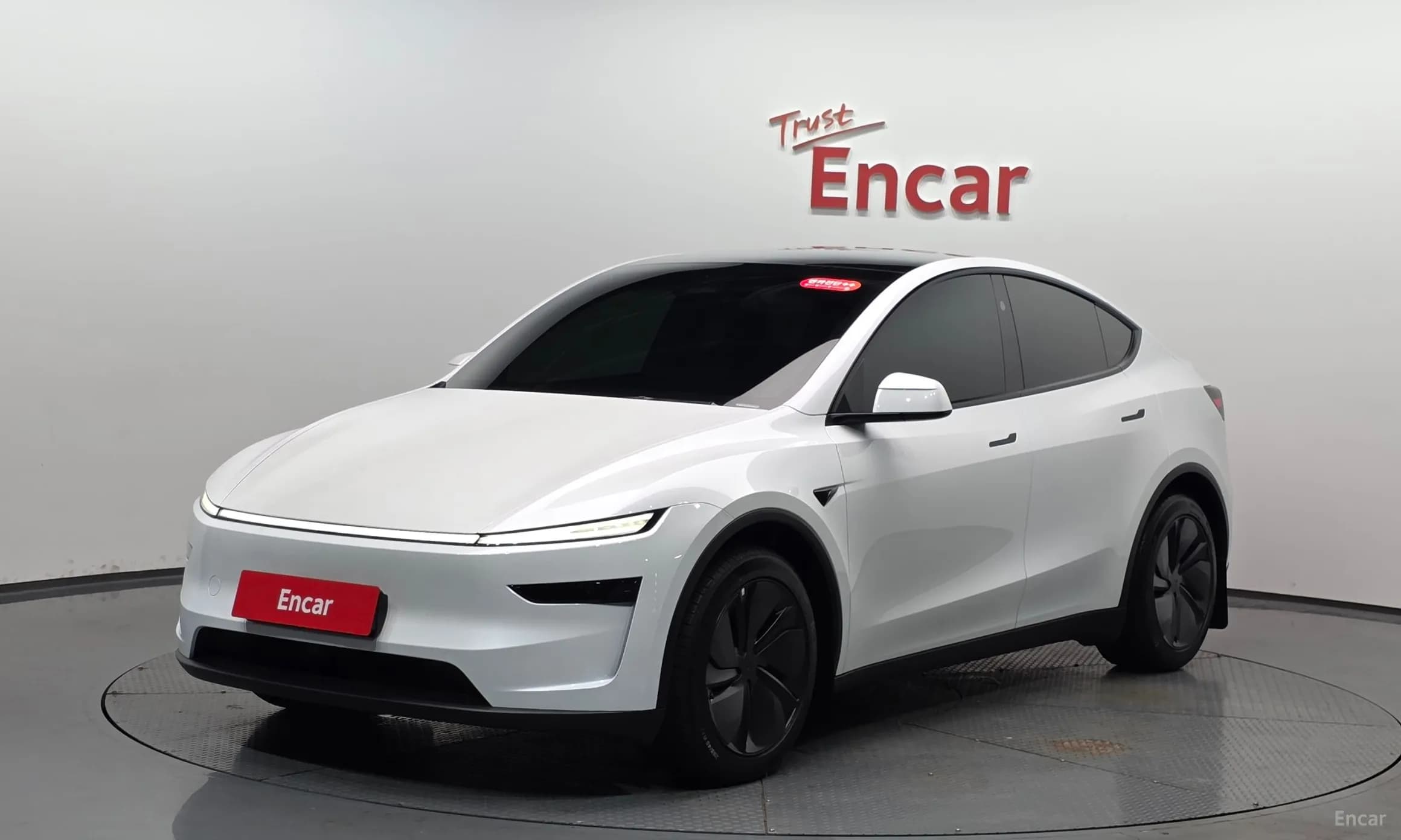 Model Y