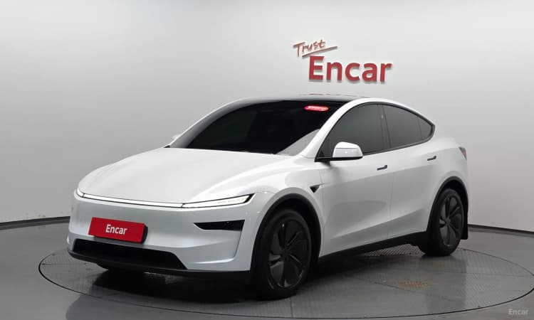 Model Y