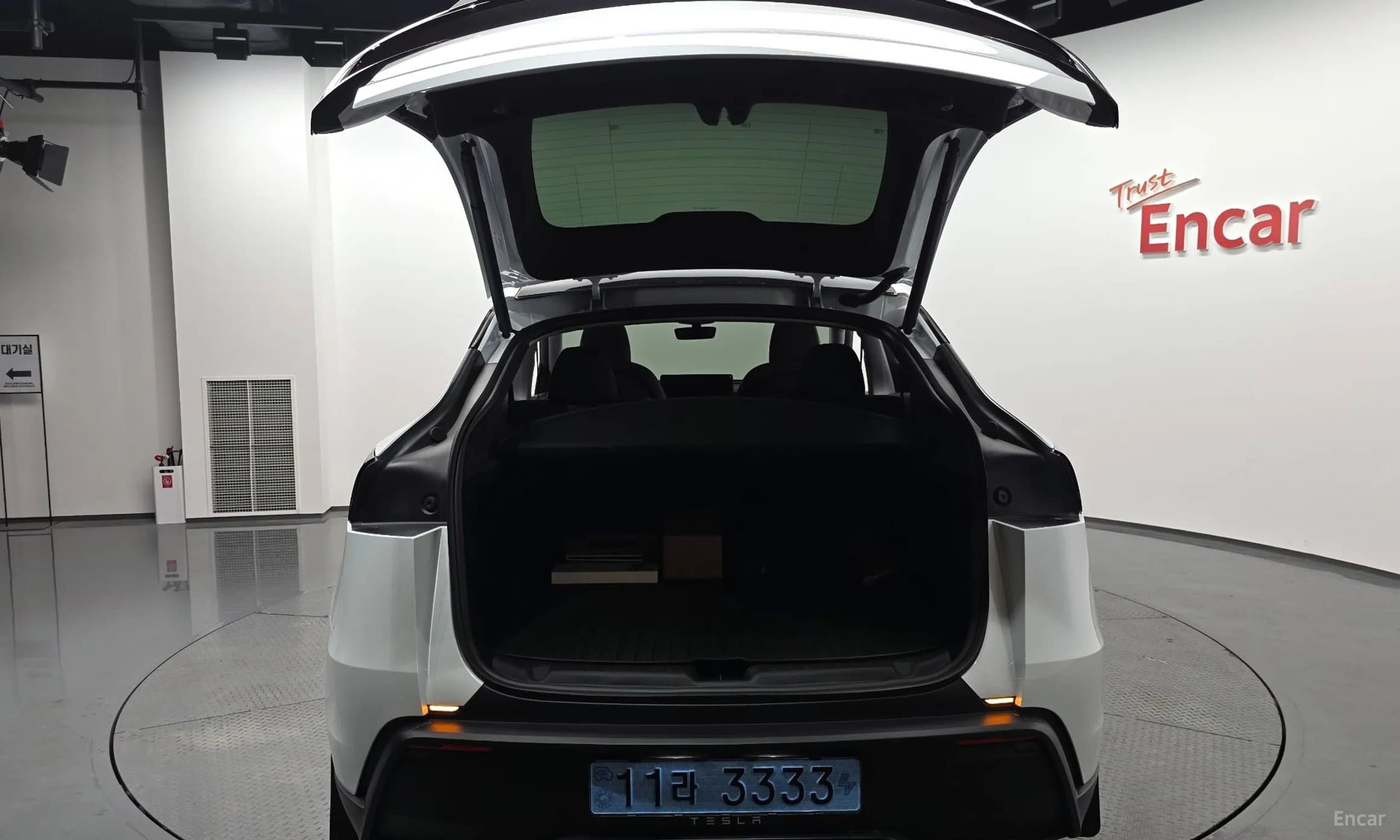 Model Y