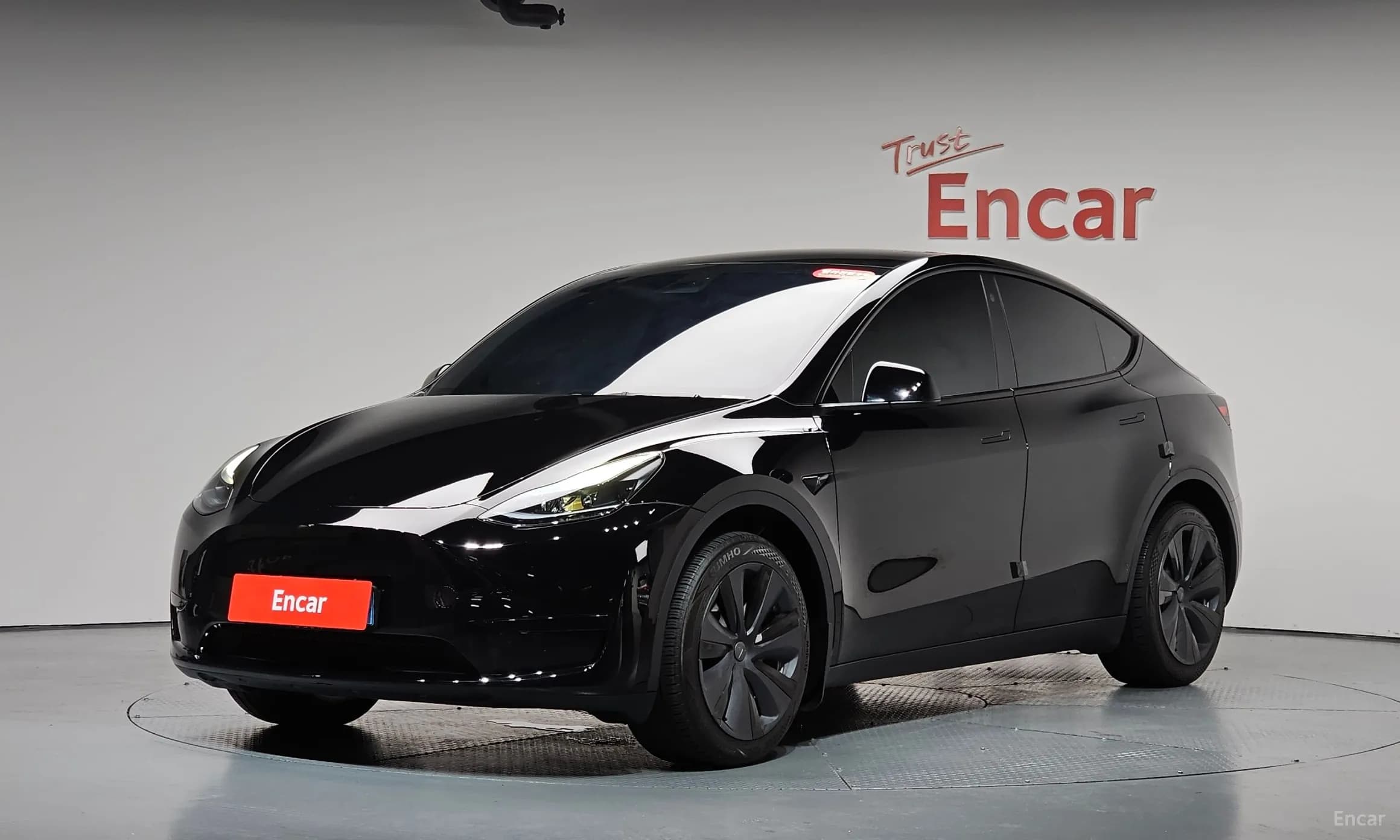 Model Y