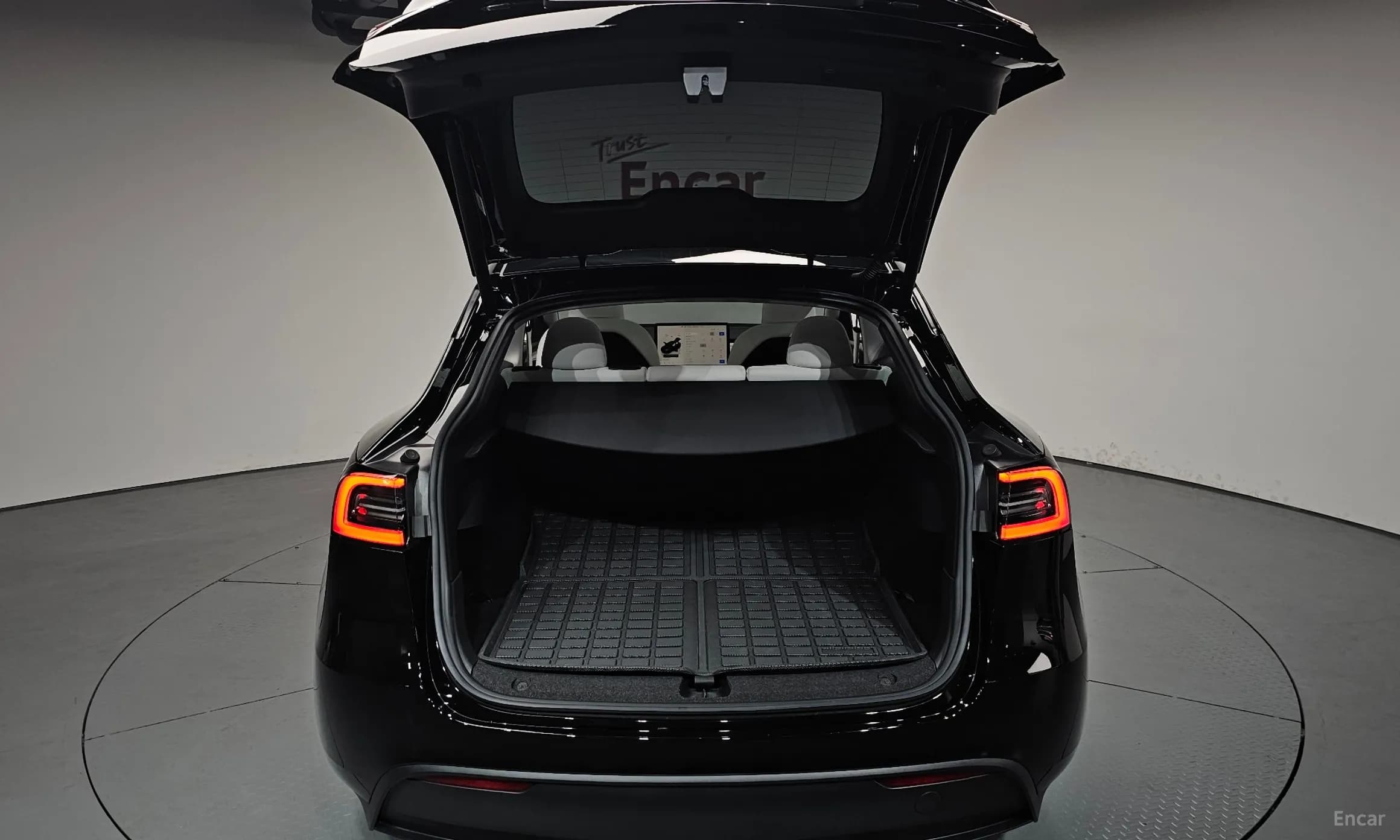 Model Y