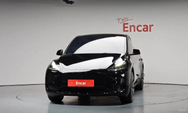 Model Y