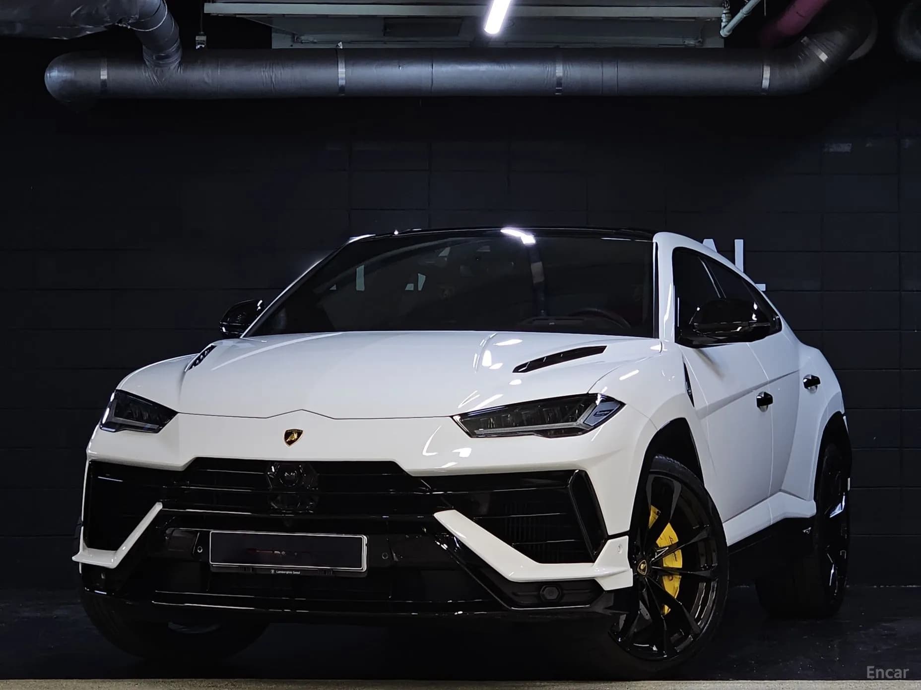 Urus