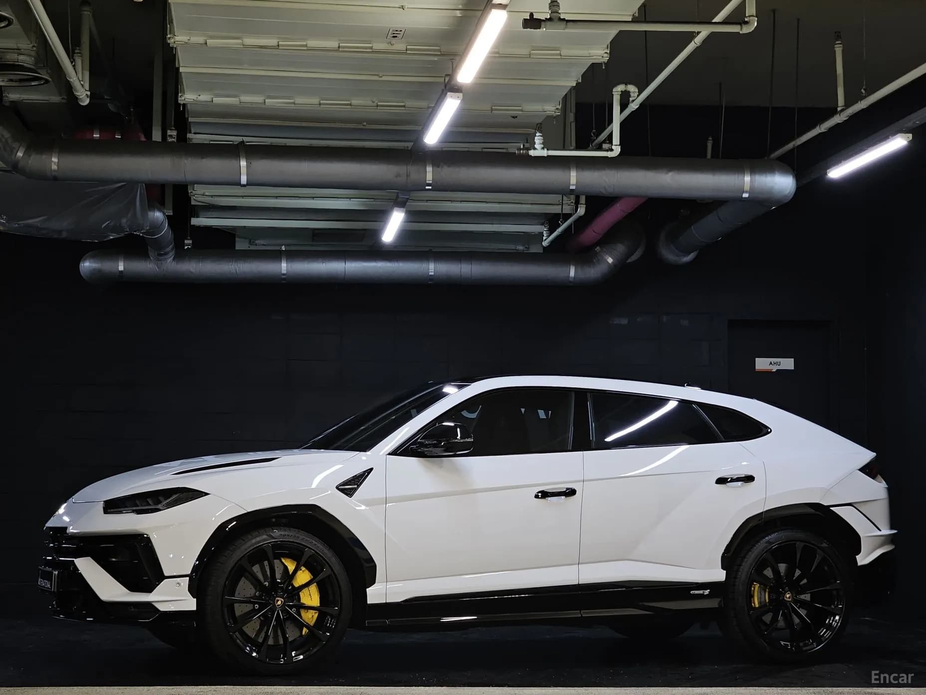 Urus