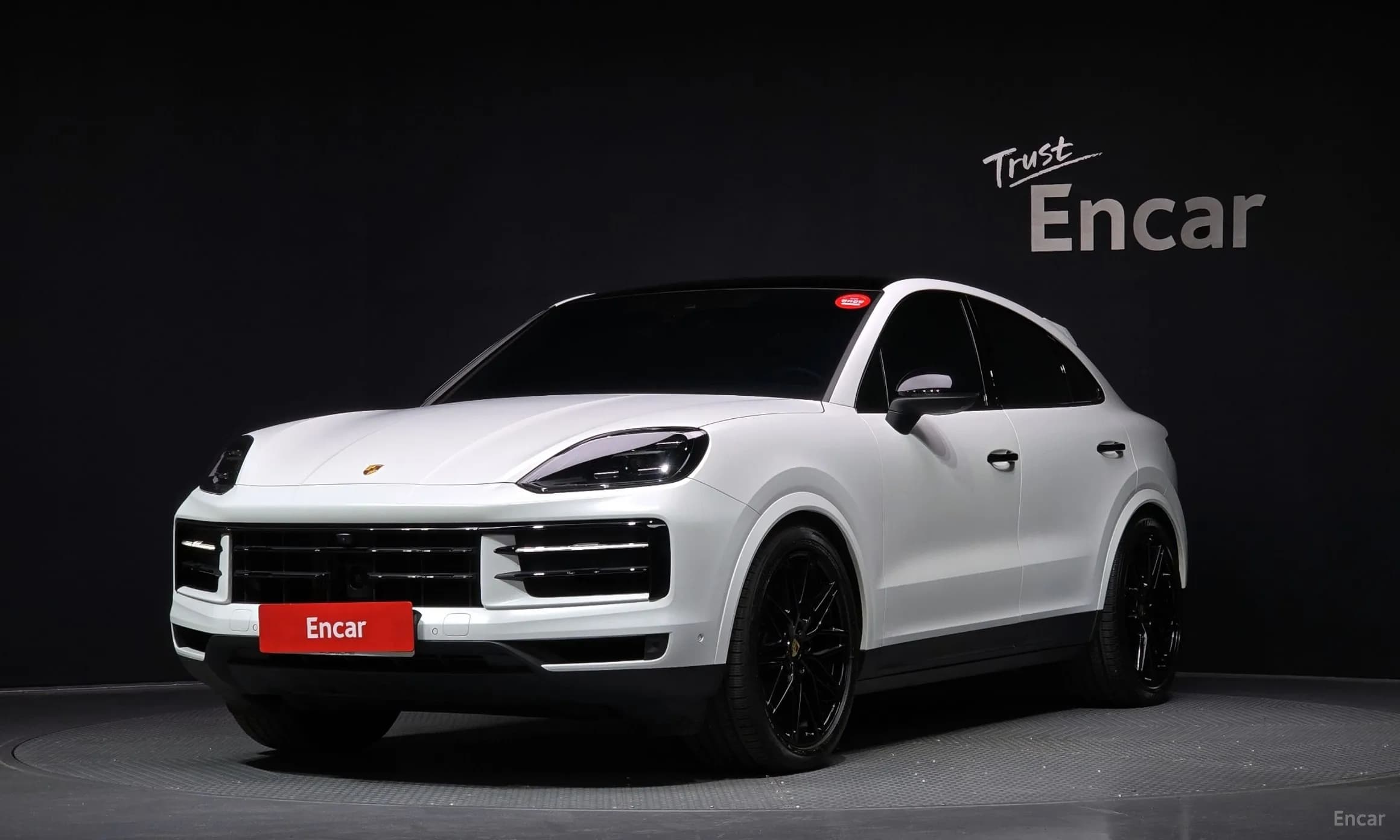 Cayenne (PO536)
