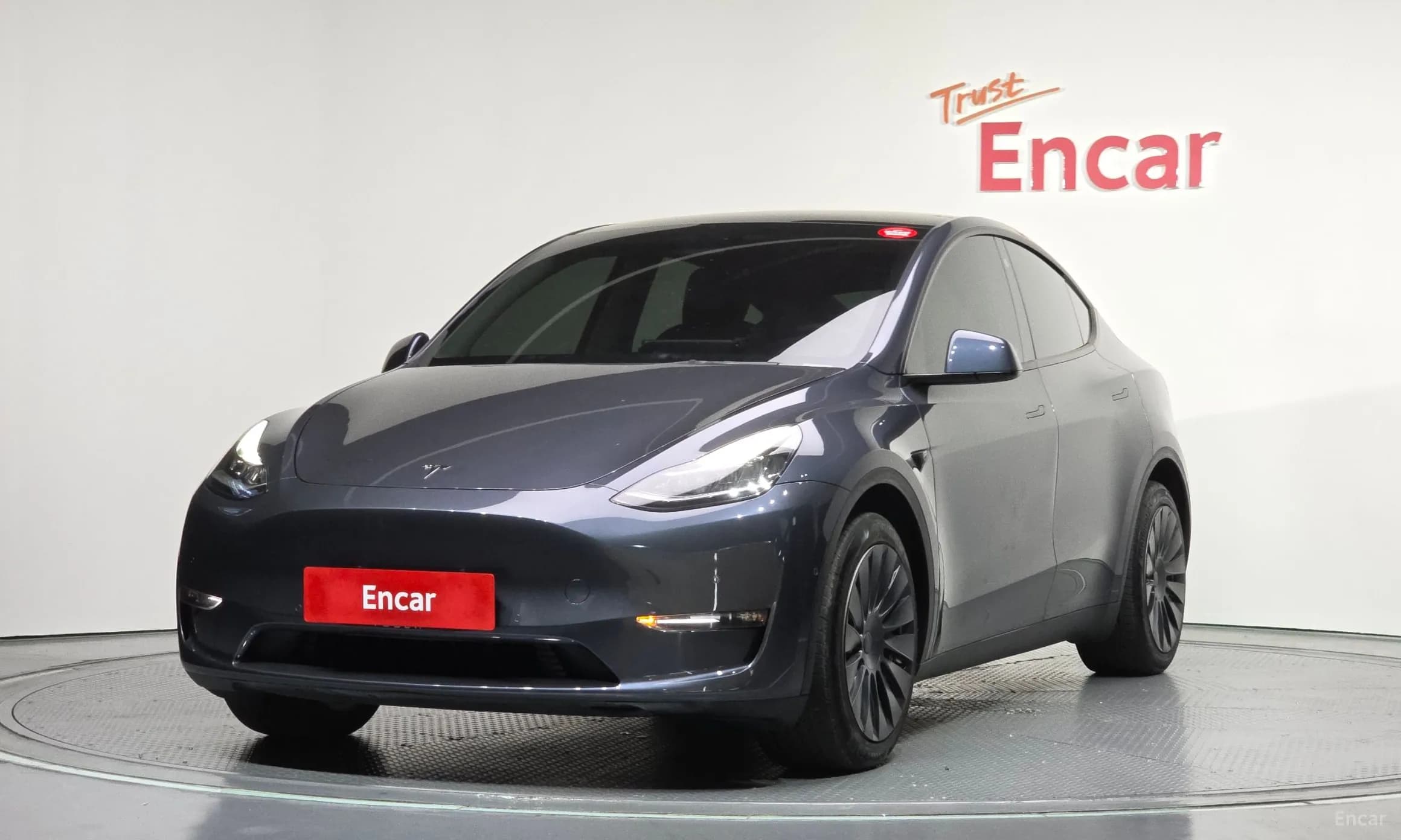 Model Y