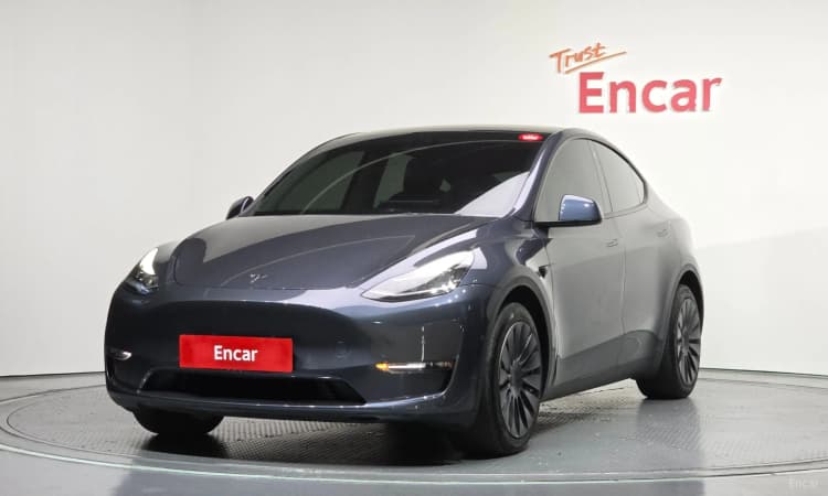 Model Y
