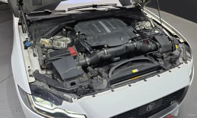 XF (x260)