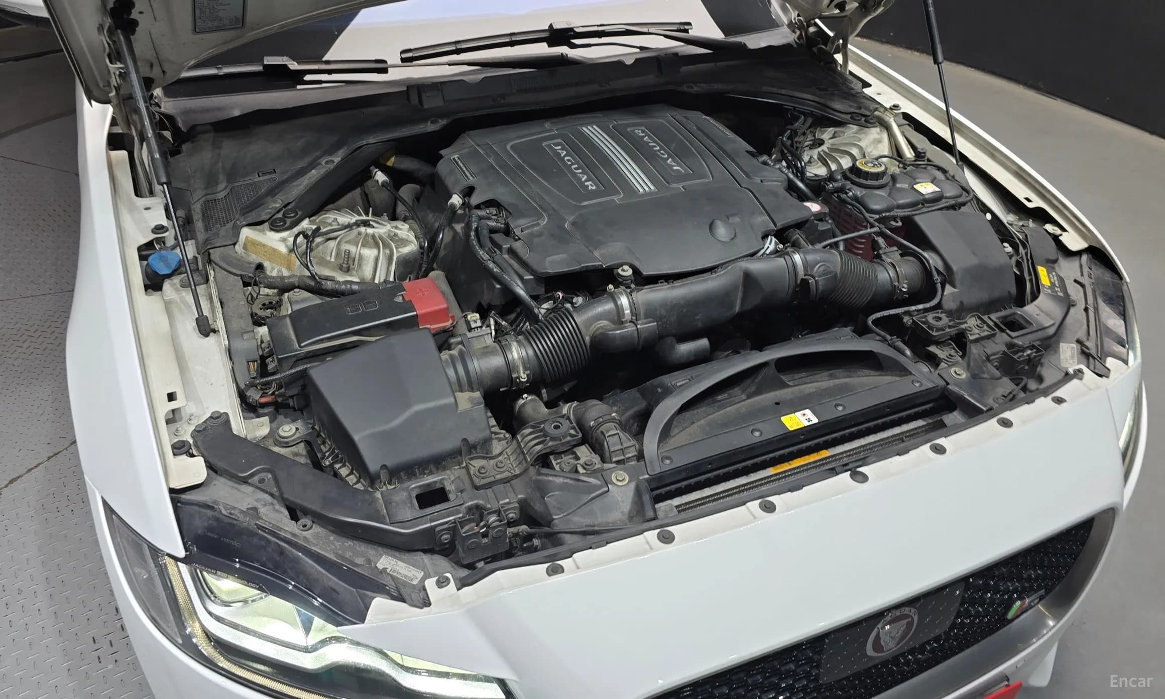 XF (x260)