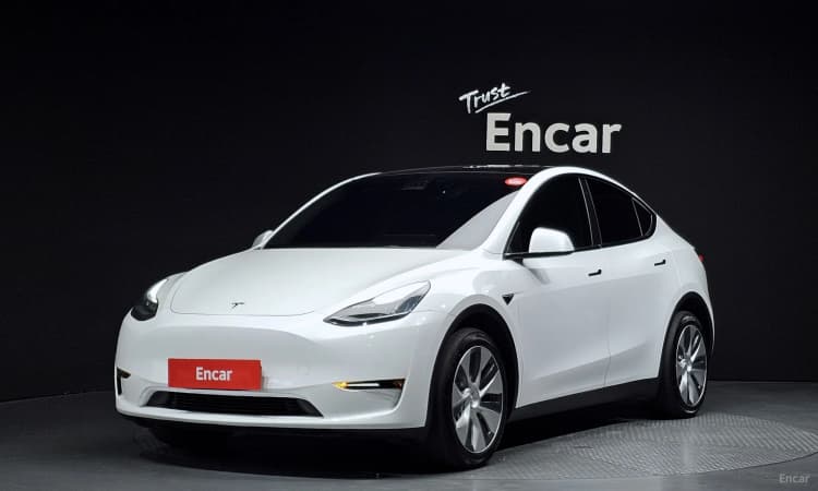 Model Y