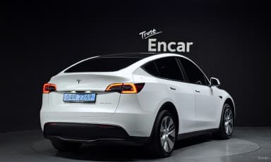 Model Y