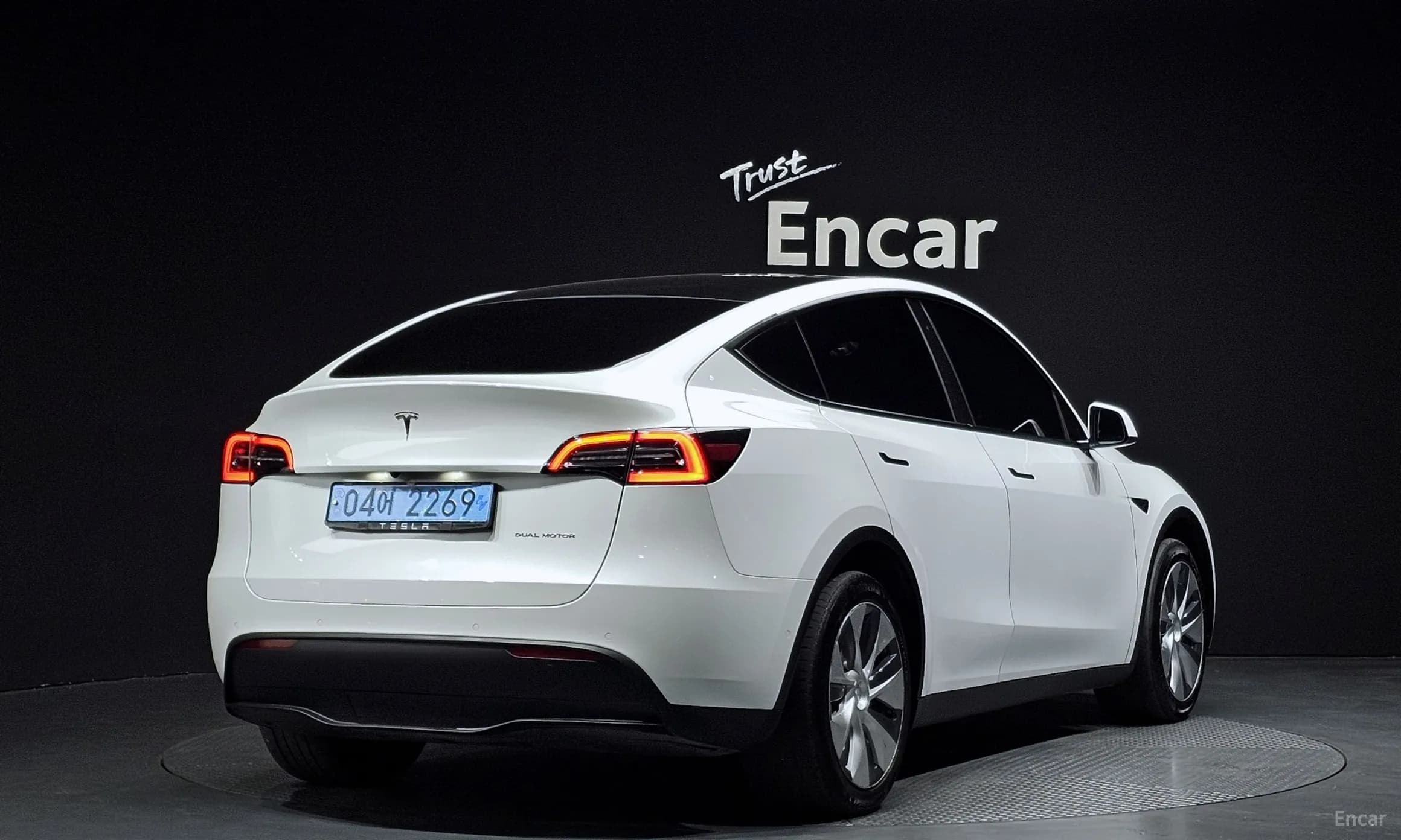 Model Y