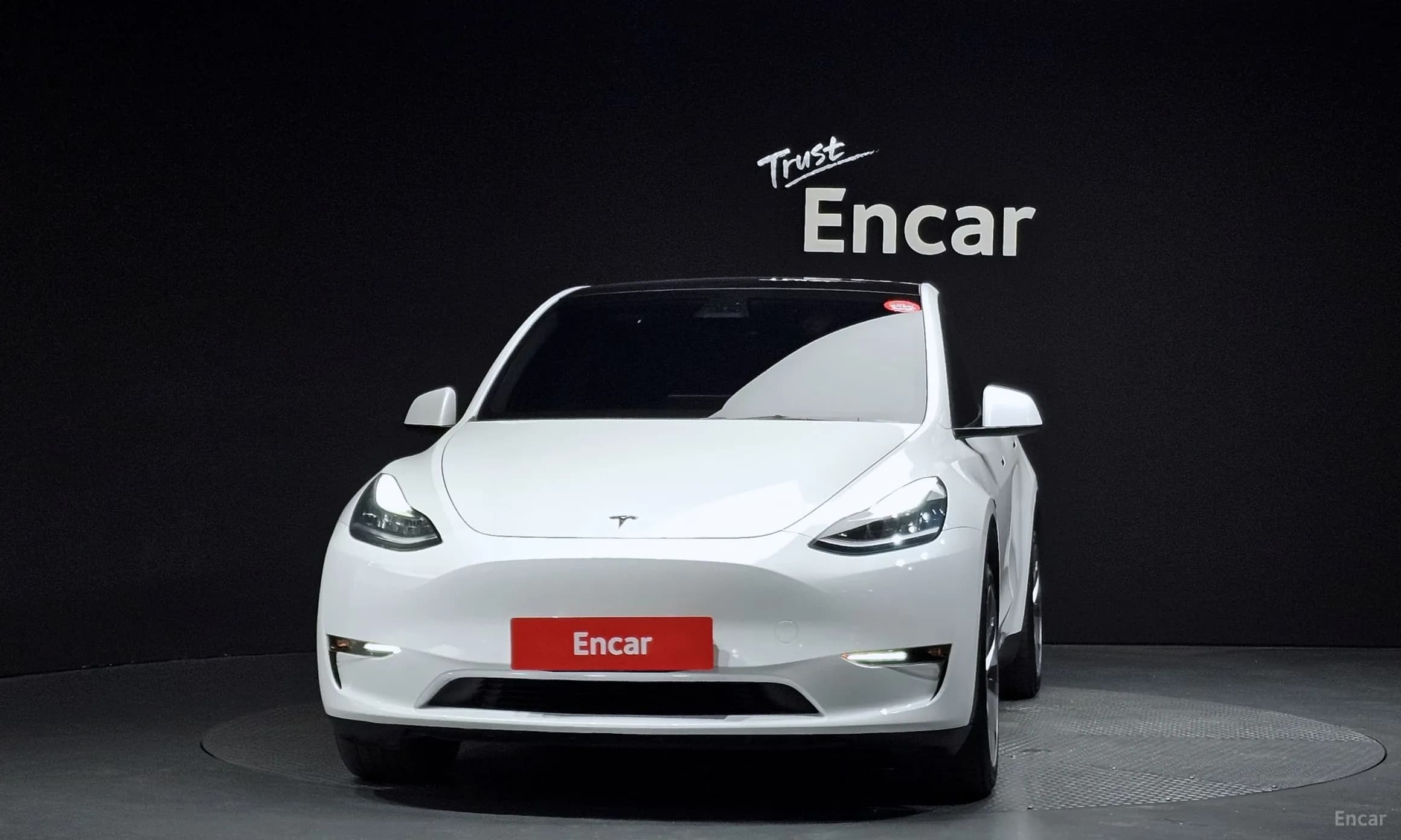Model Y