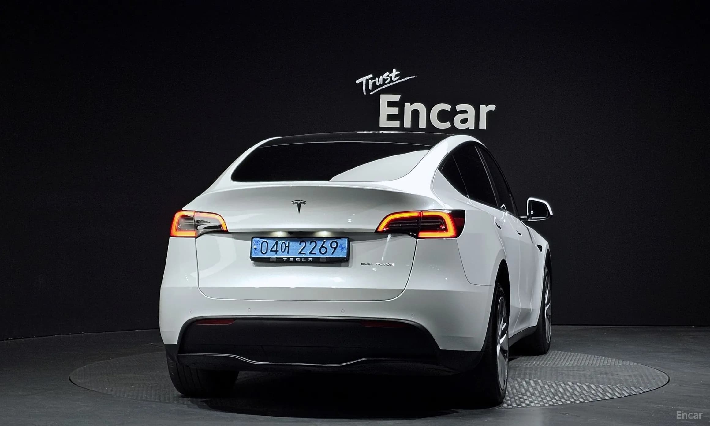 Model Y