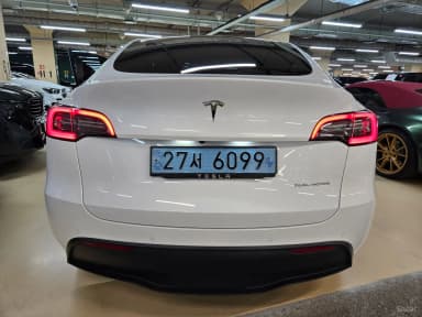 Model Y