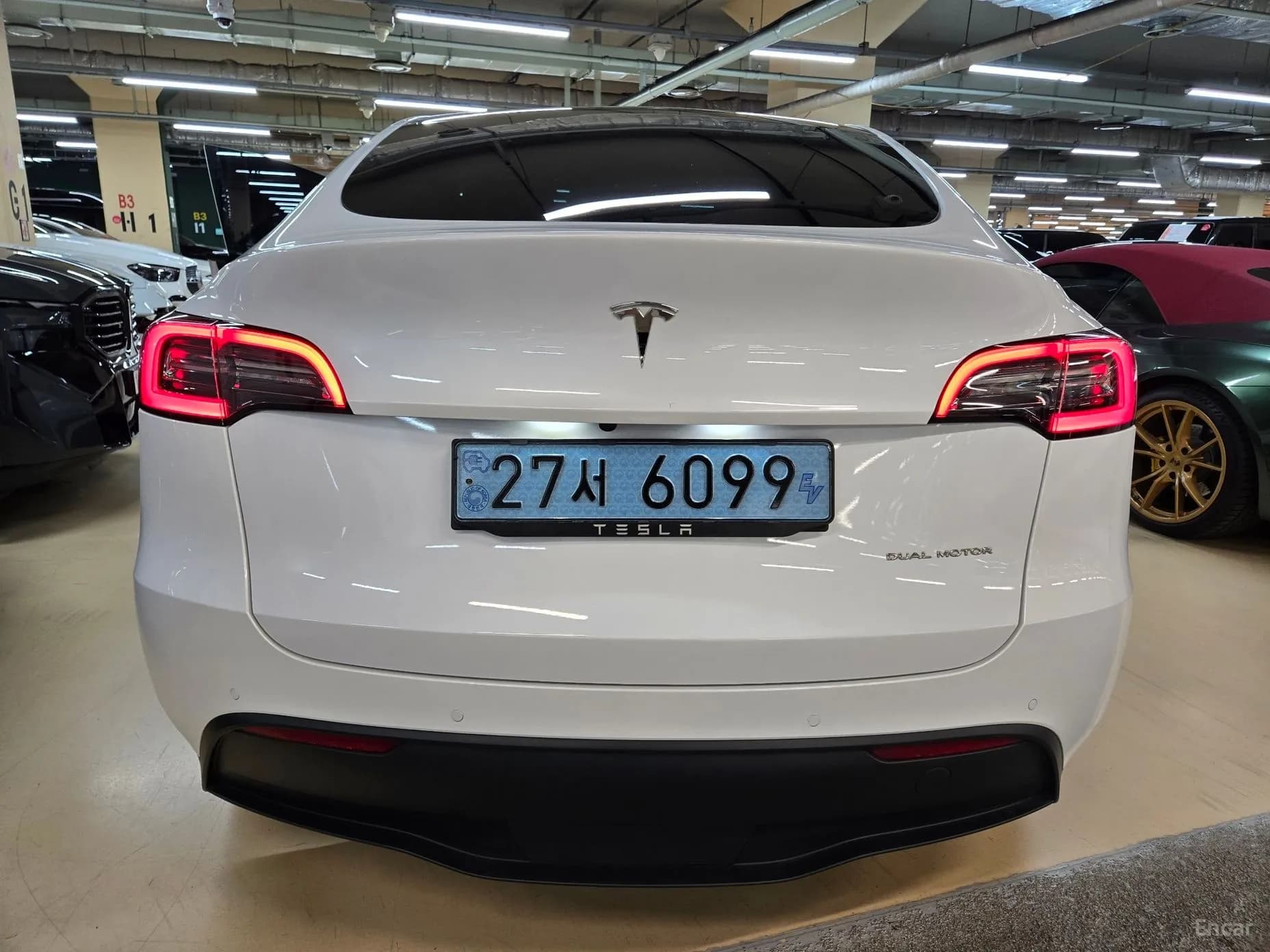 Model Y
