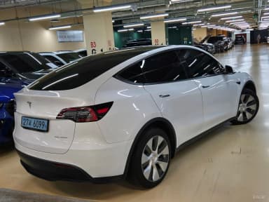 Model Y