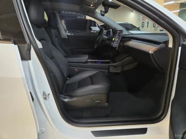 Model Y