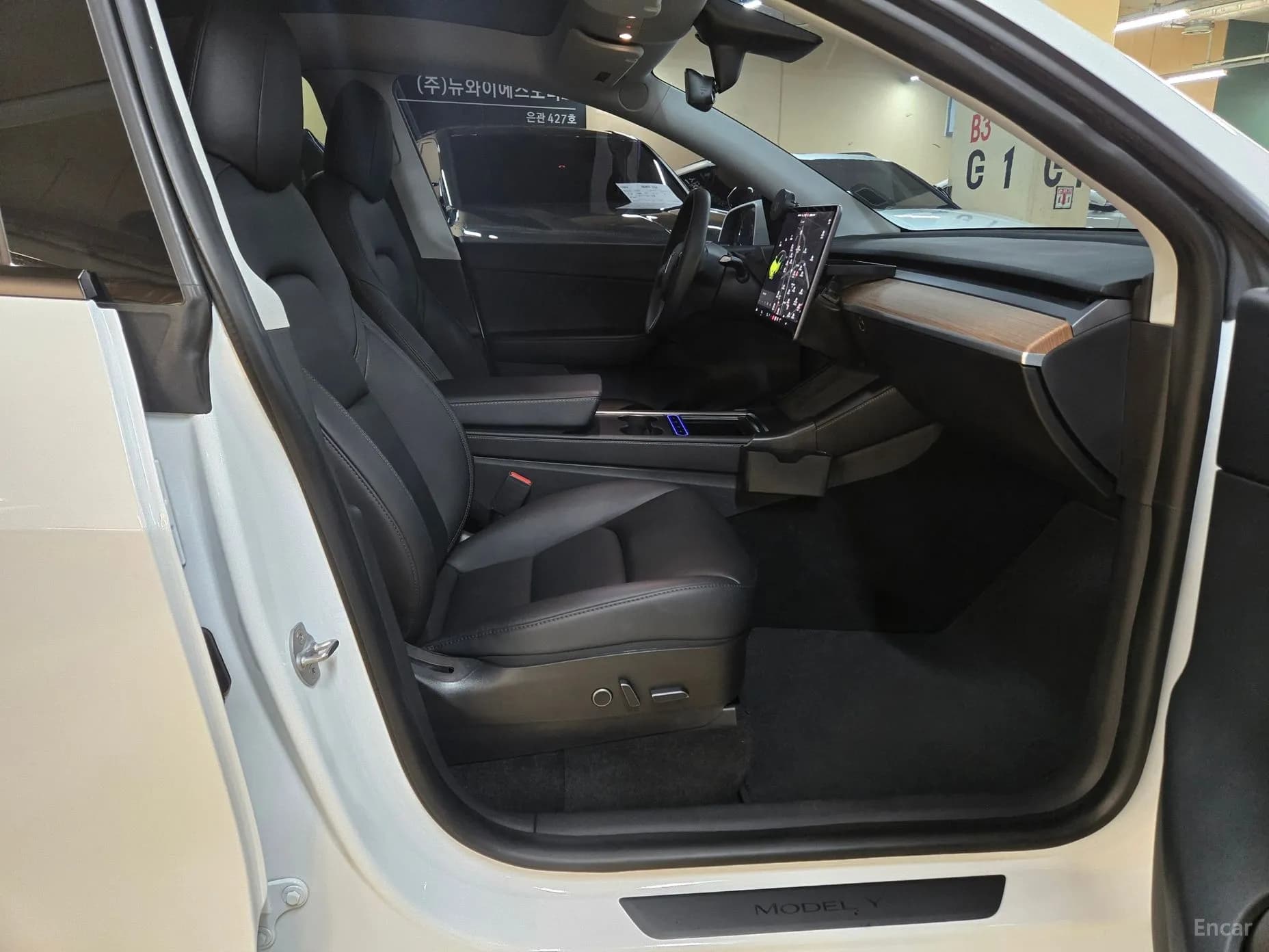 Model Y