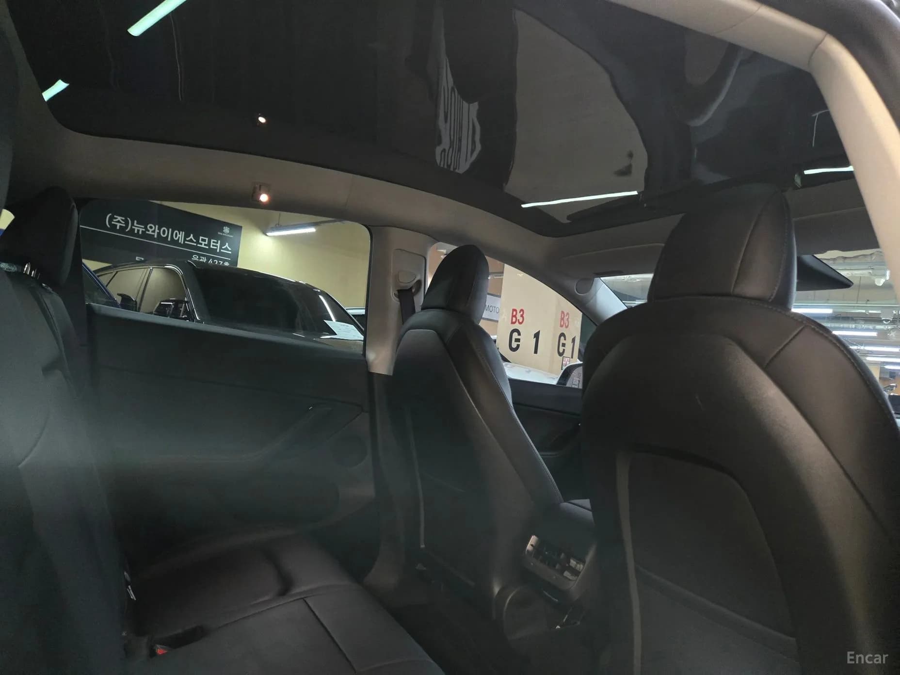 Model Y