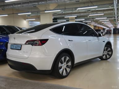 Model Y