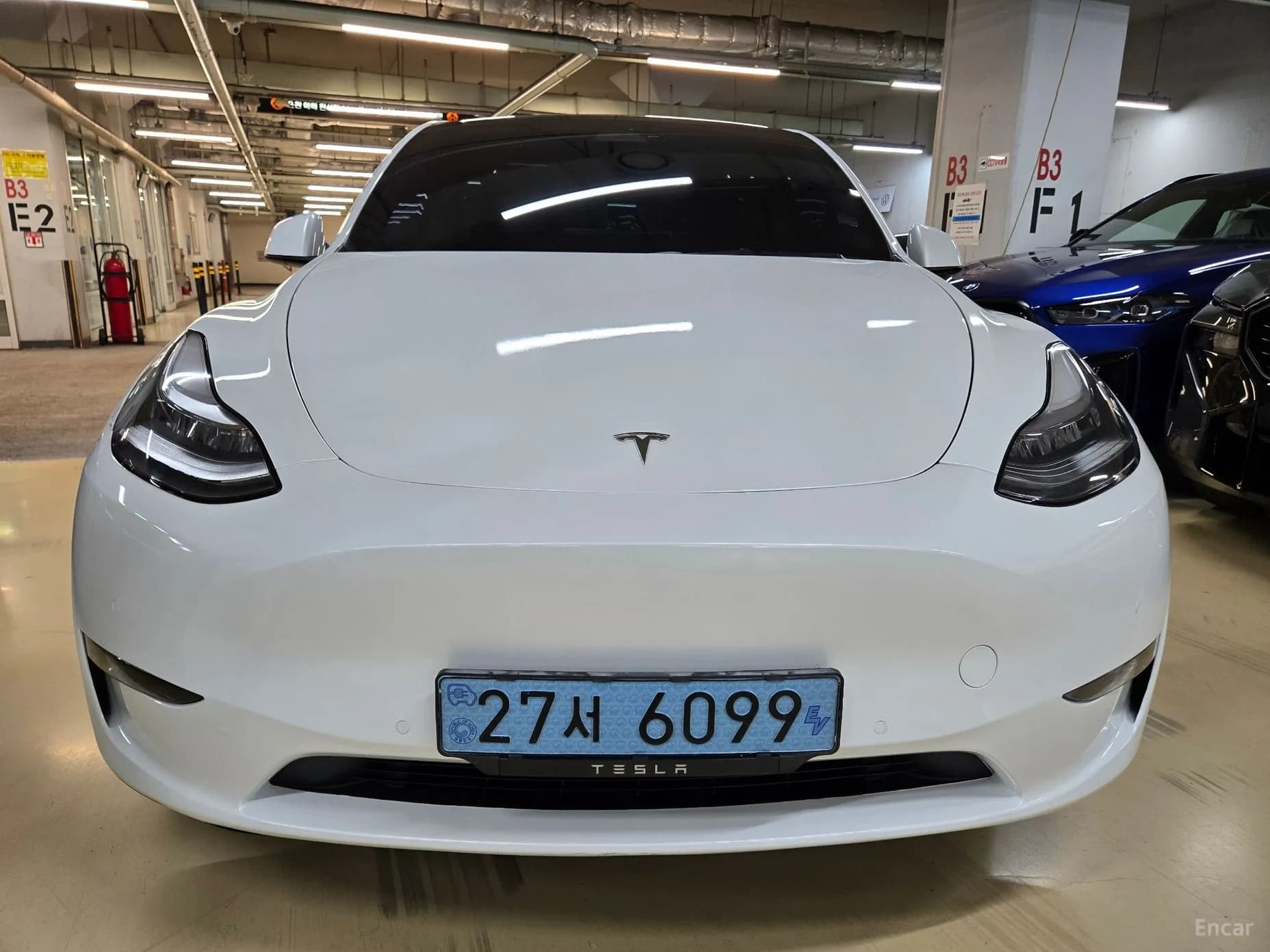 Model Y