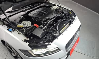 XF (x260)