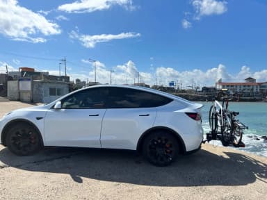 Model Y