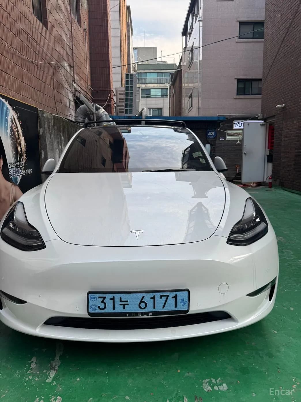 Model Y