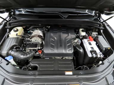 Rexton Sports