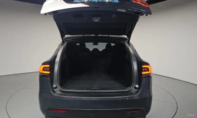 Model X