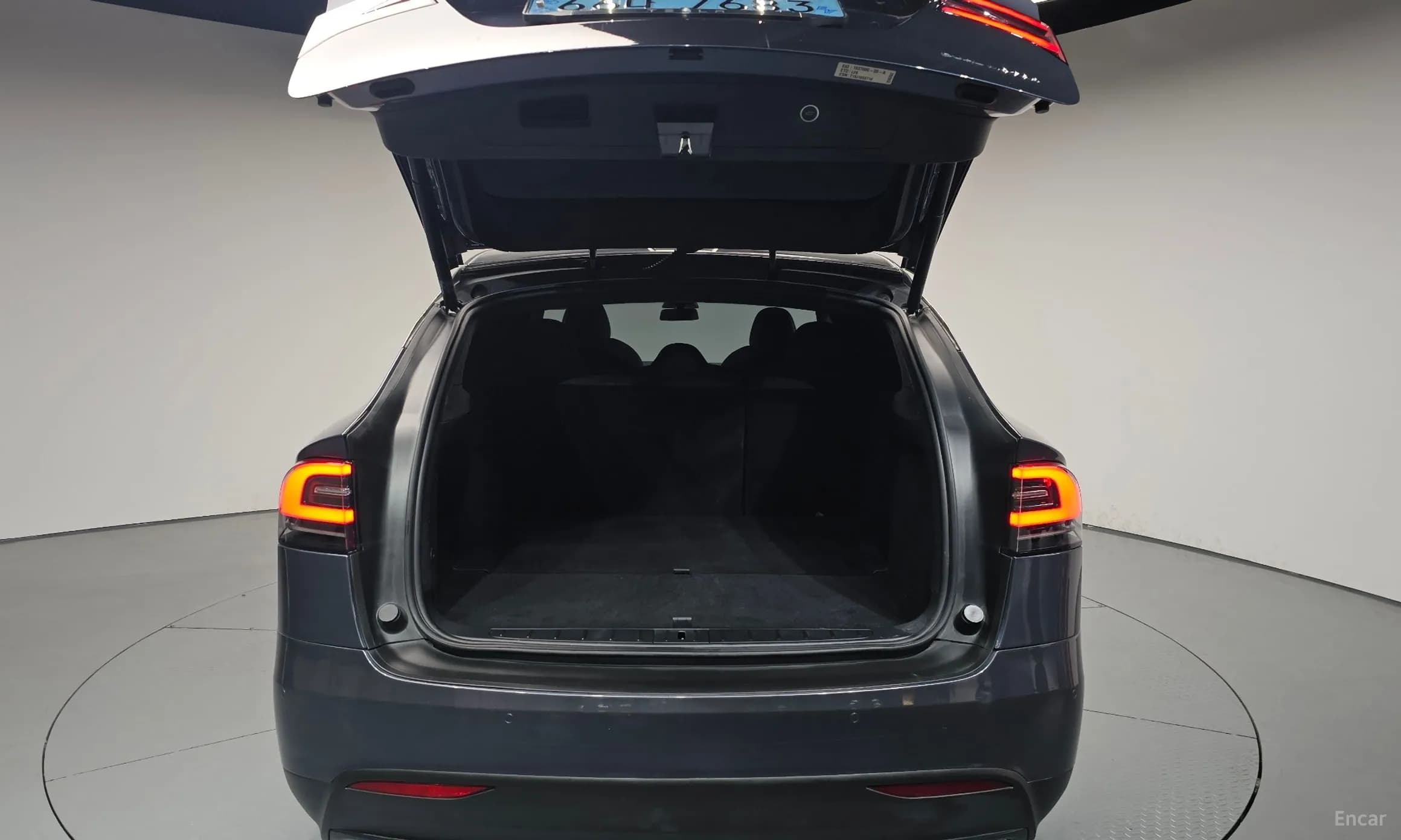 Model X