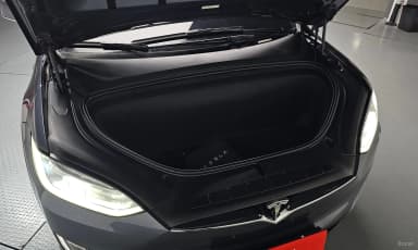 Model X