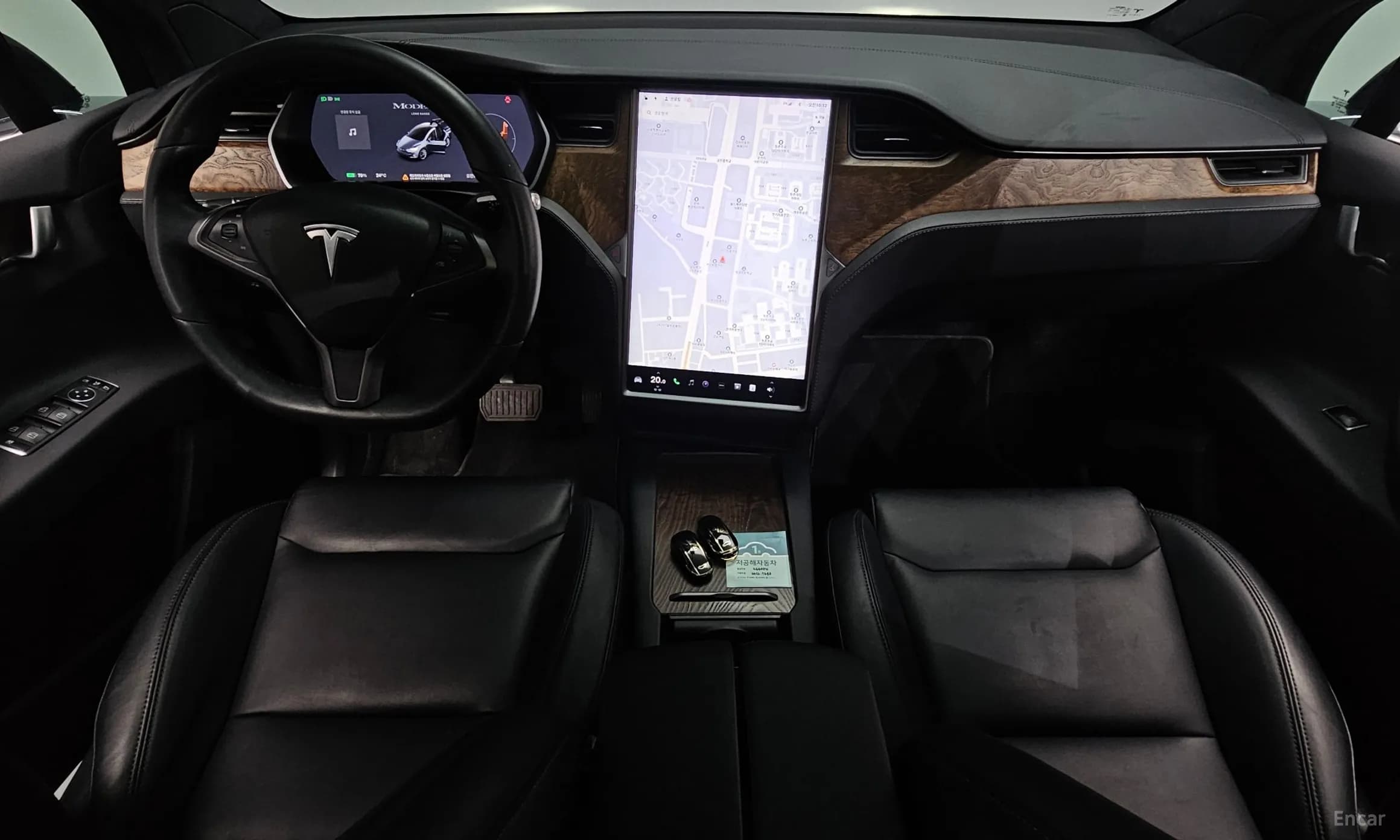 Model X