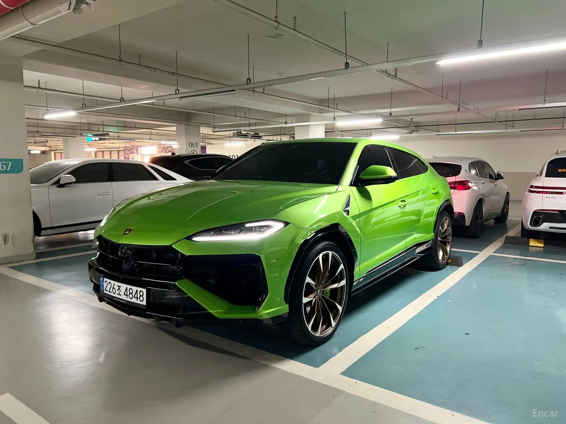 Urus