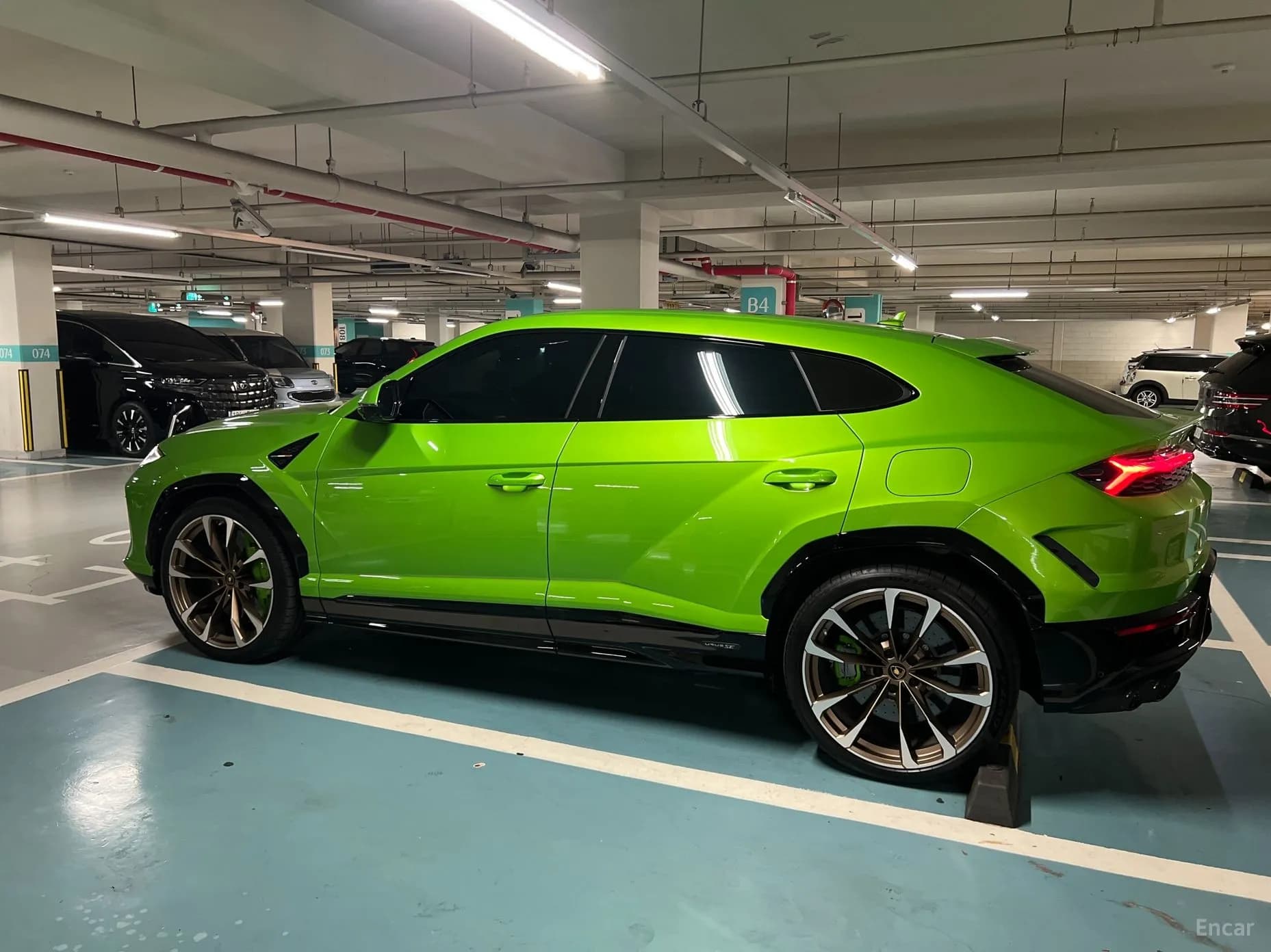 Urus