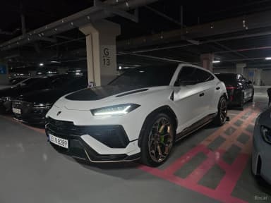 Urus