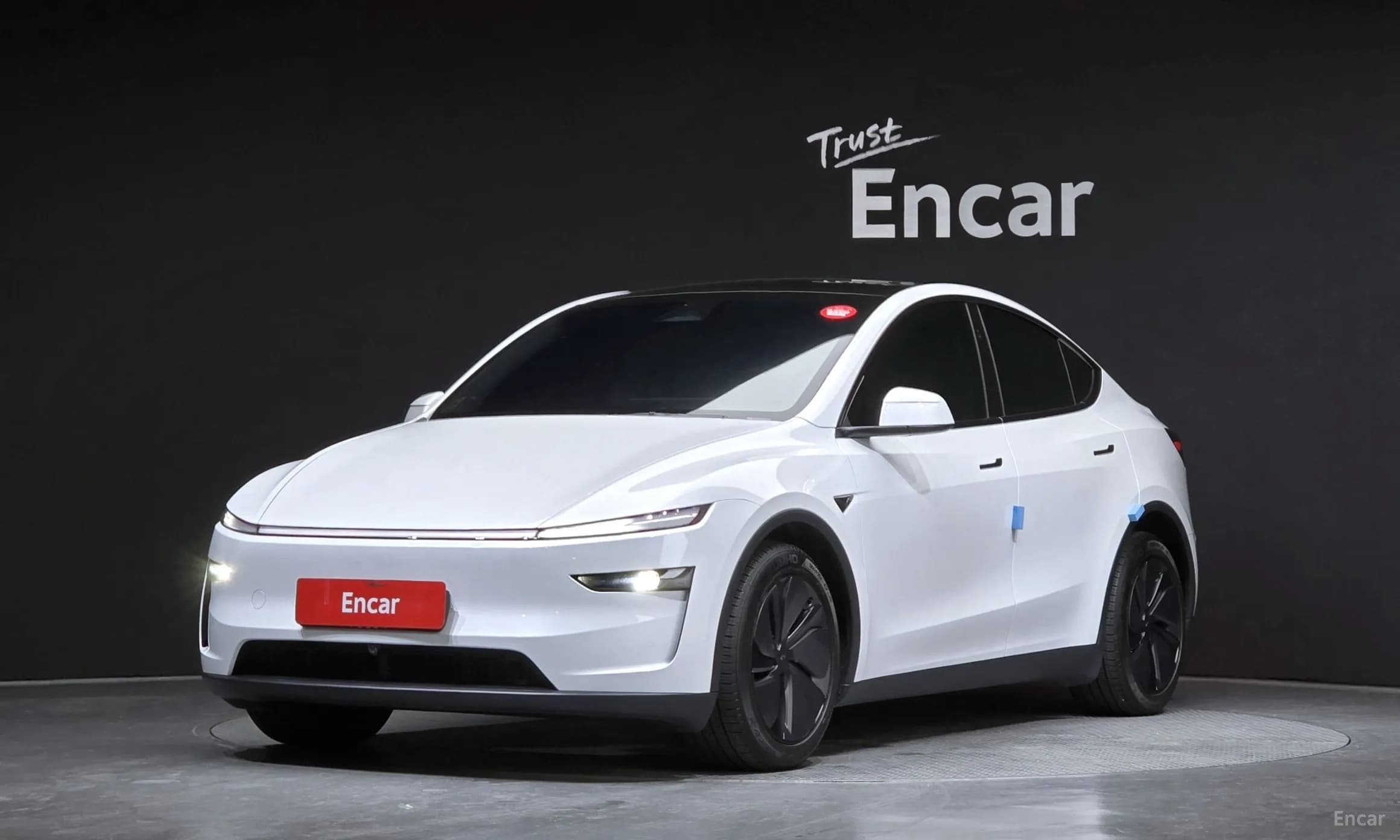 Model Y