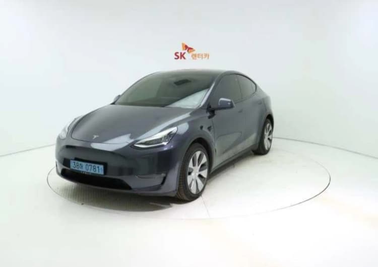 Model Y