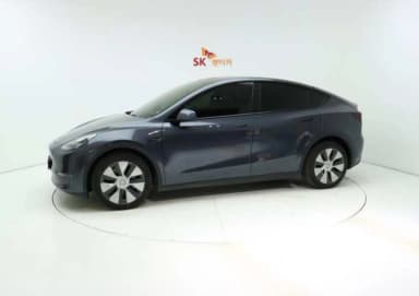 Model Y