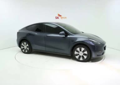Model Y