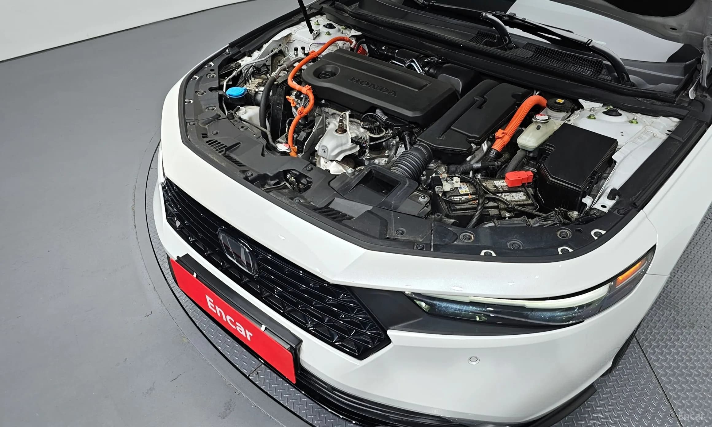 Accord 11th Generation