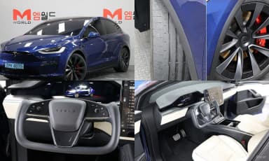 Model X