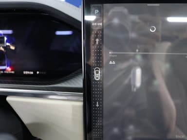 Model X
