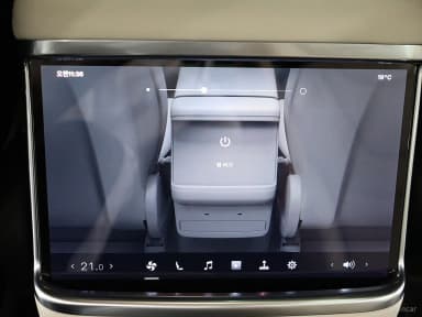 Model X