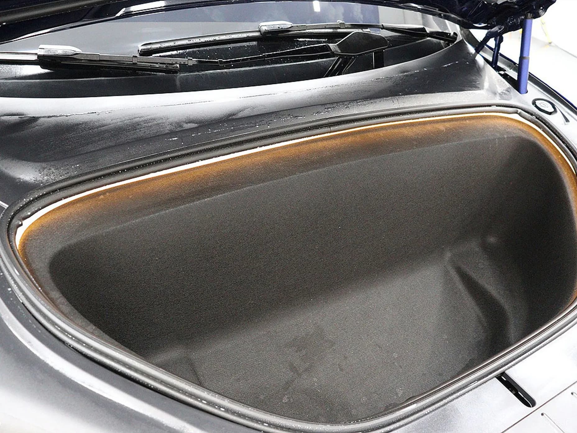 Model X