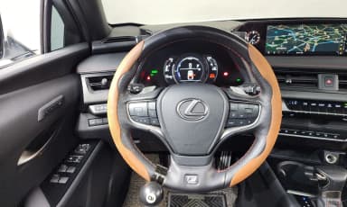 UX250h