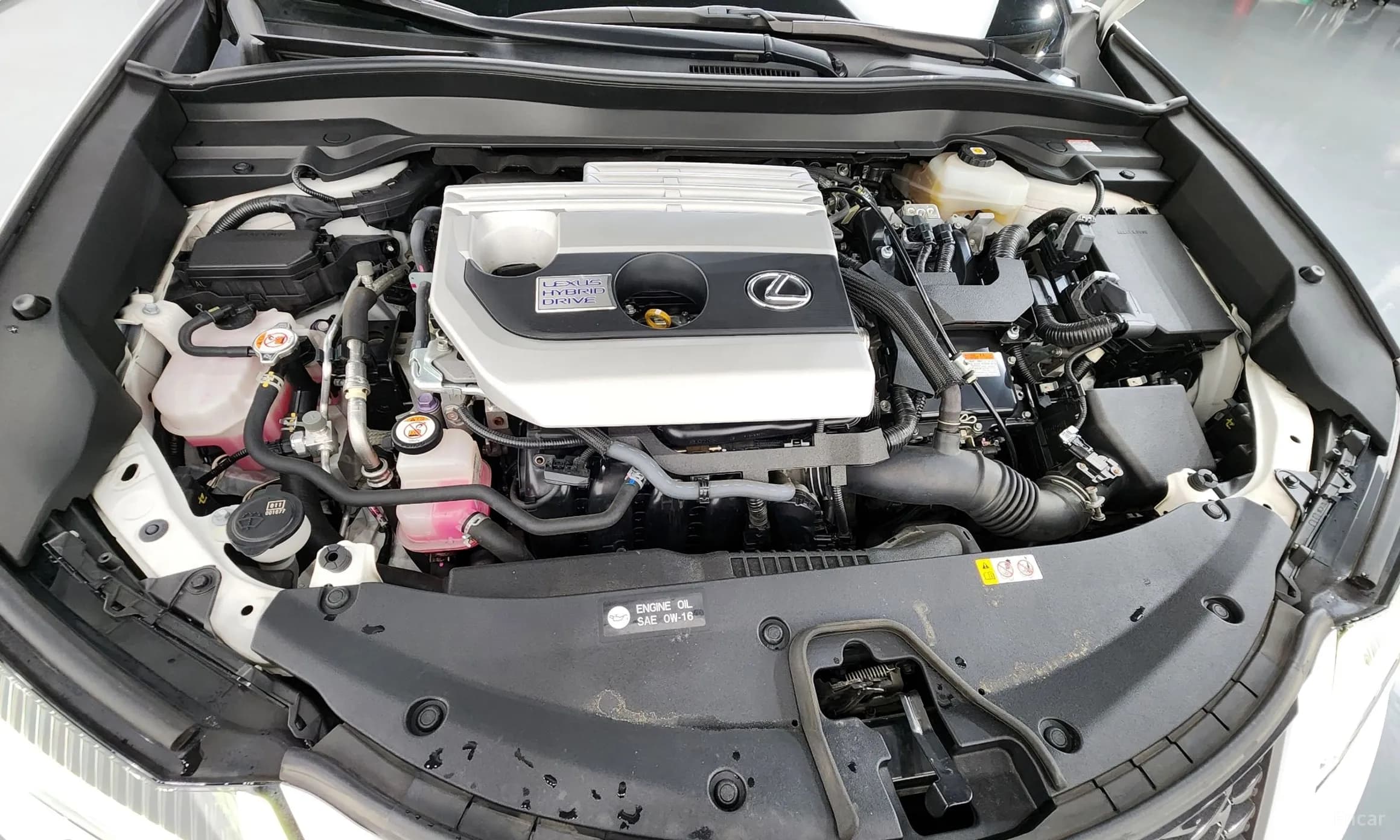 UX250h